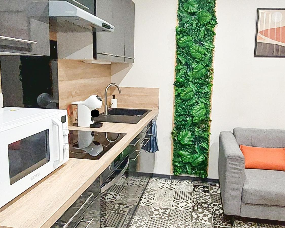 Artgrey * Ideal Pro * Roanne Secteur Gare Et Rue Pietonnes Dış mekan fotoğraf