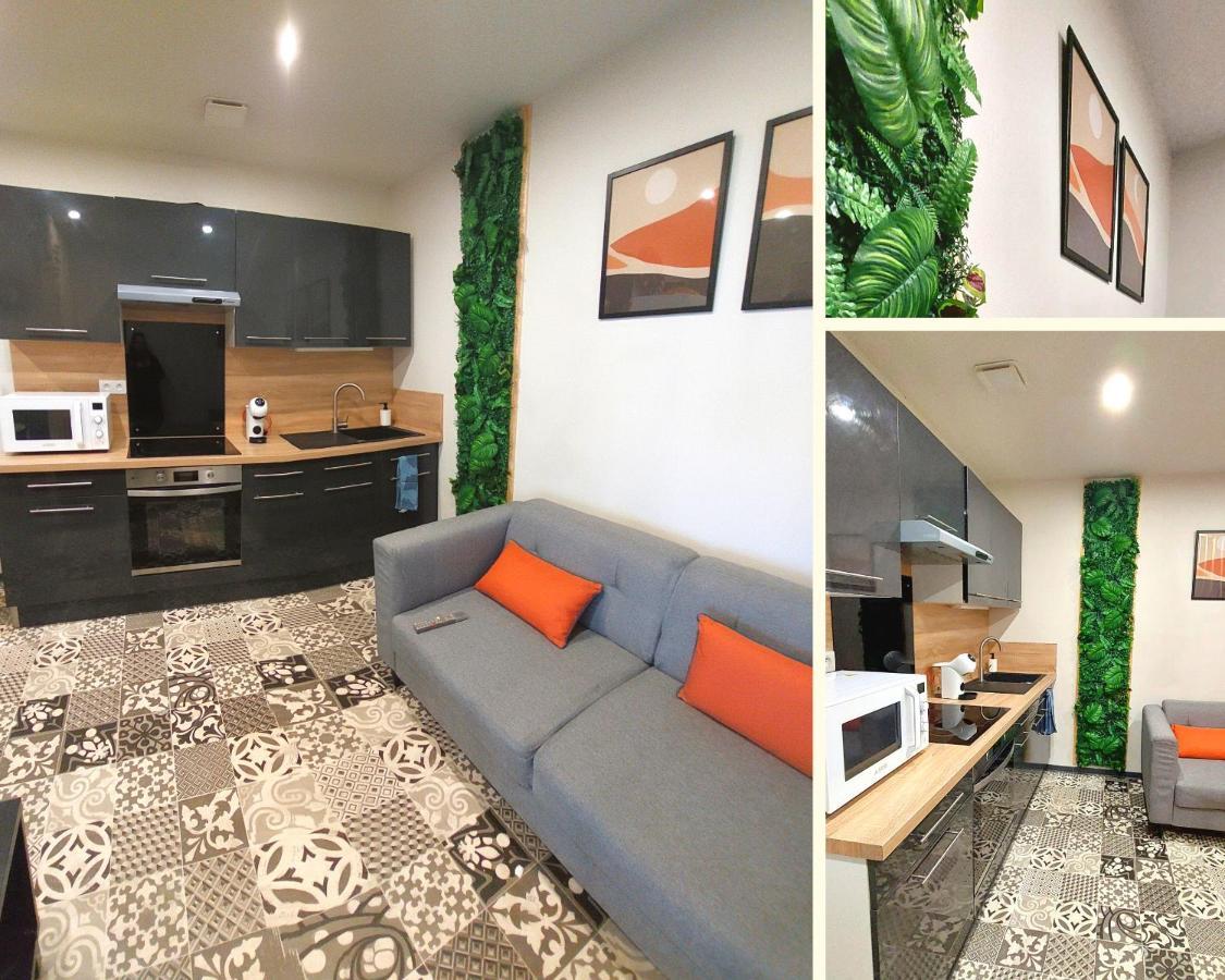 Artgrey * Ideal Pro * Roanne Secteur Gare Et Rue Pietonnes Dış mekan fotoğraf