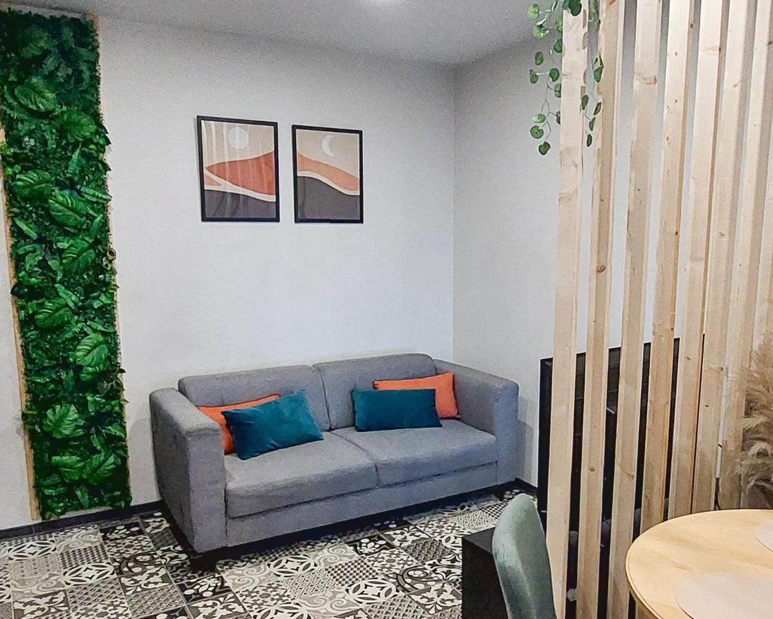 Artgrey * Ideal Pro * Roanne Secteur Gare Et Rue Pietonnes Dış mekan fotoğraf